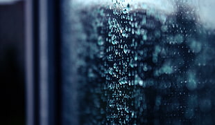 water dew focus photography HD wallpaper